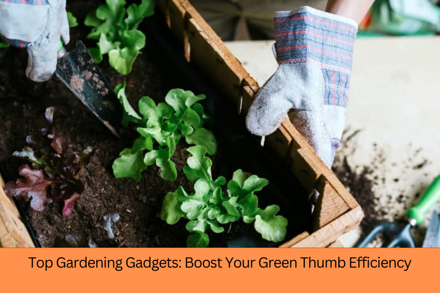 Top Gardening Gadgets: Boost Your Green Thumb Efficiency