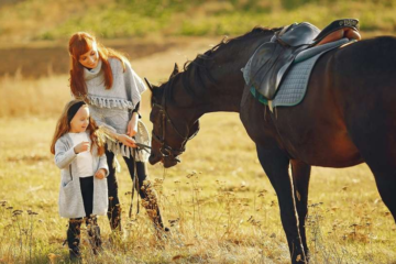 Horse Therapy