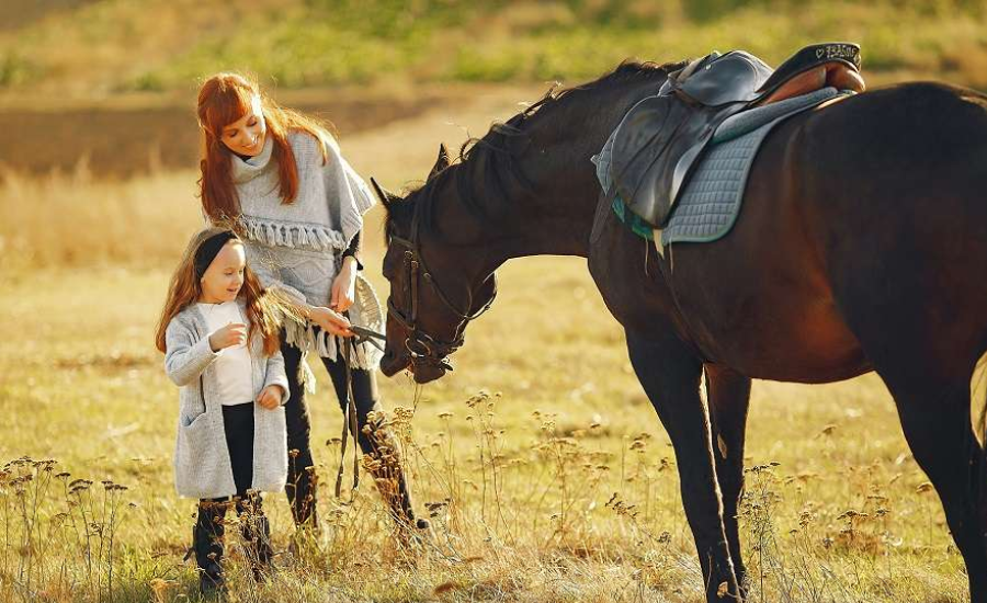 Horse Therapy