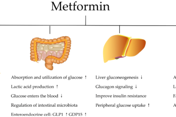 Metformin vs. Semaglutide