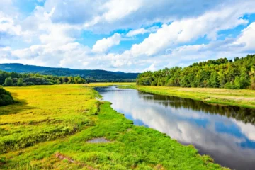 River Landscapes